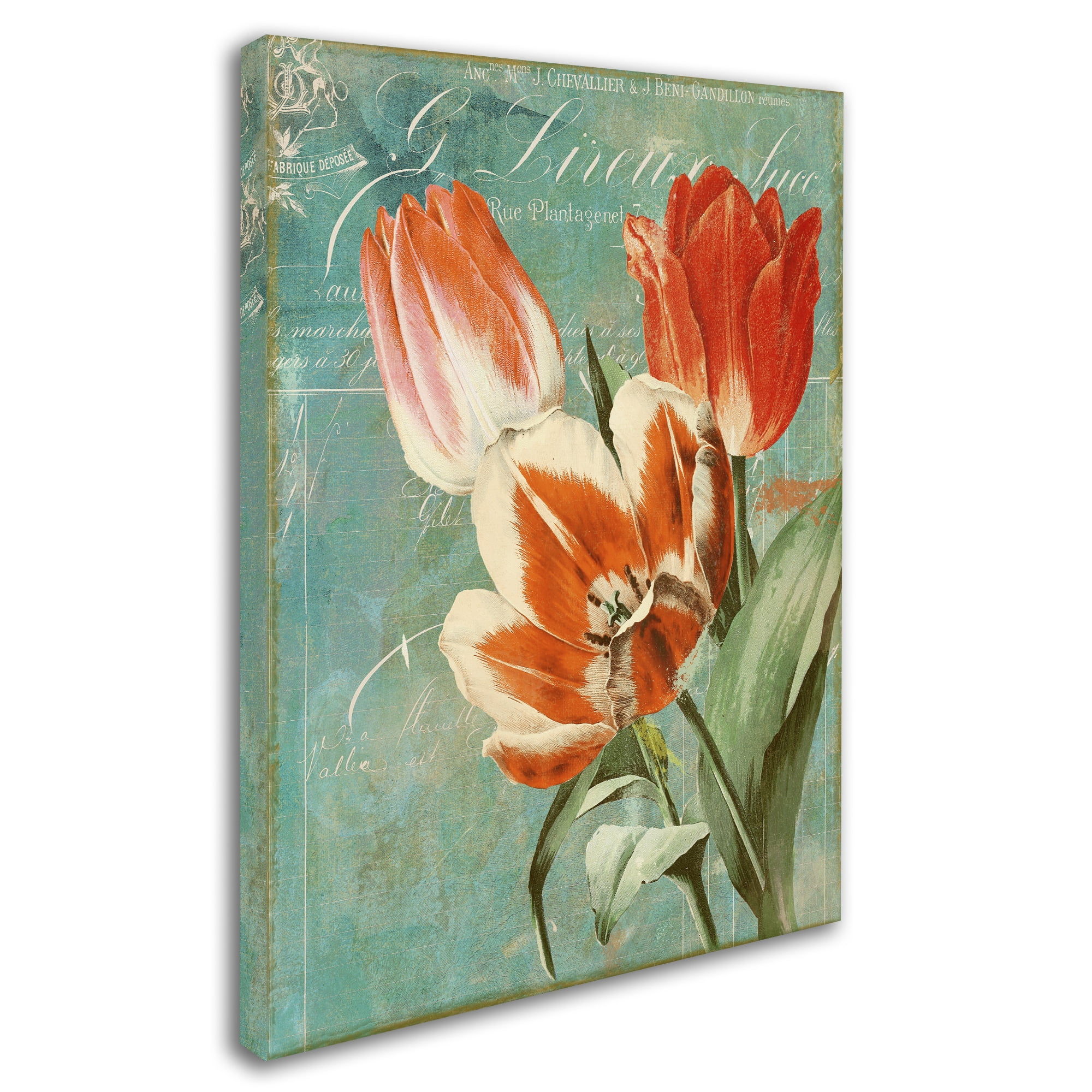 Trademark Fine Art "Tulips Ablaze II" Canvas Art by Color Bakery