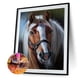 thumbnail image 1 of Cuadros Decorativos Kit de pintura de diamantes de imitación para manualidades, regalo de dibujo de diamante cuadrado completo de caballo de tigre cachorro Ehuebsd Nuevos Originales, 1 of 9