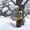 1 x Skeleton Bird Feeder_10, variant on The Quiet Offering Tree Elves Bird Feeder, Outdoor Hanging Resin Decor, Keyhole Hanger, Weather Resistant Art, Gift for Bird Lovers & Gardeners
