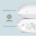 thumbnail image 3 of MY Euro Pillow Inserts 26 x 26 (Pack of 2, White), Down Feather Pillow Stuffer, Premium White Pillows for Bed, Couch, and Cushion, 3 of 5