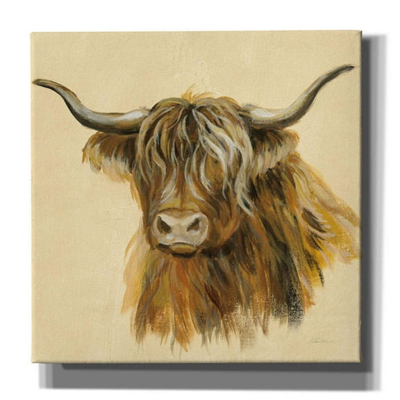 Epic Graffiti 'Highland Animal Cow' by Silvia Vassileva, Canvas Wall Art, 12"x12"