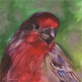 thumbnail image 2 of Great Art Now Field Birds VI by Kim Smith, Canvas Wall Art, 12W x 12H, 2 of 2