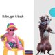 thumbnail image 2 of 6 Pack Silicone Dog Flying Disc Funny Dog Toy For Outdoor Training- Tw, 2 of 4