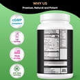 thumbnail image 6 of Shifaa Nutrition Delicious Creamy Chocolate Halal Whey Protein Powder – 24g Protein, BCAAs & Glutamine – Gluten-Free, Non-GMO, Keto, 6 of 6