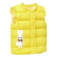 thumbnail image 4 of XXWXYD Child Kids Toddler Baby Boys Girls Sleeveless Reversible Vest Cute Cartoon Winter Solid Outerwear Outfits, Warm Comfortable Casual Daily Wear for Cold Weather, 4 of 6