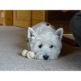 thumbnail image 2 of CafePress - Westie Mug - 11 oz Ceramic Mug - Novelty Coffee Tea Cup, 2 of 4