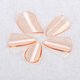 thumbnail image 4 of 5 clavos profesionales para pipa (naranja), 4 of 8