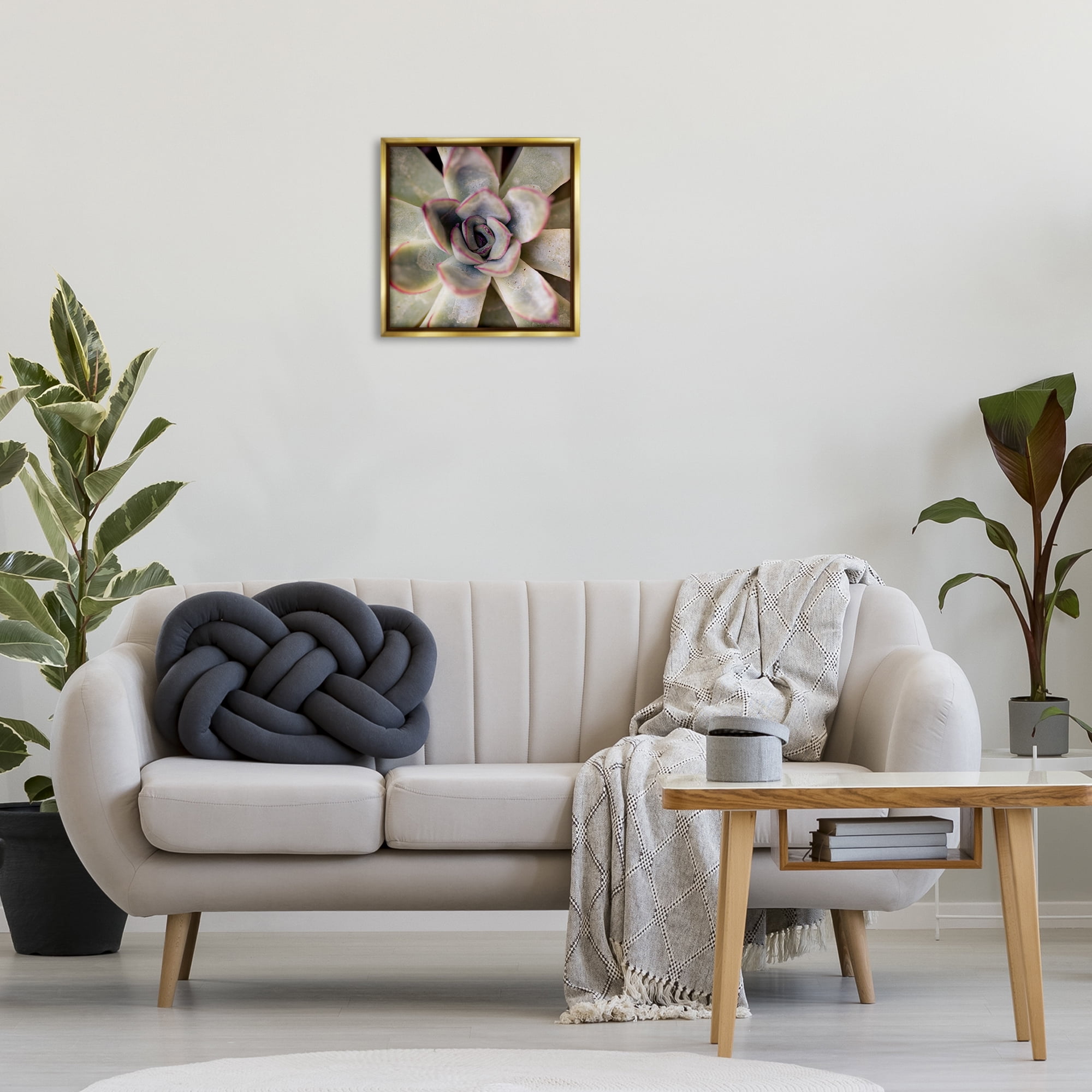Stupell Industries Succulent Petals Pattern Plants & Flowers Photography Gold Floater Framed Canvas Art Print Wall Art, 18 x 18