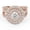 14K Rose Gold, variant on Infinity Shank Double Halo Bridal Set Ring for Women, IGI Certified 1.10 Carat (ctw) Round Cut Lab Grown Diamond Engagement Wedding Ring 14K Solid Rose Gold F-G, VS-SI Quality Ring Size-10