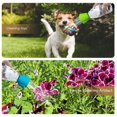 thumbnail image 5 of 2 uds cabezal de ducha para mascotas, accesorio de manguera de baño para perros, adaptador de boquilla de rociador de agua, accesorio de ducha, cabezales de ducha para rociadores para perros, 5 of 5