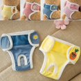 thumbnail image 3 of S Encantadores pañales para perros, bragas para perros, Fruta de dibujos animados, estampado de flores, pantalones físicos para perros, banda para el vientre, ropa interior para cachorros, 3 of 5