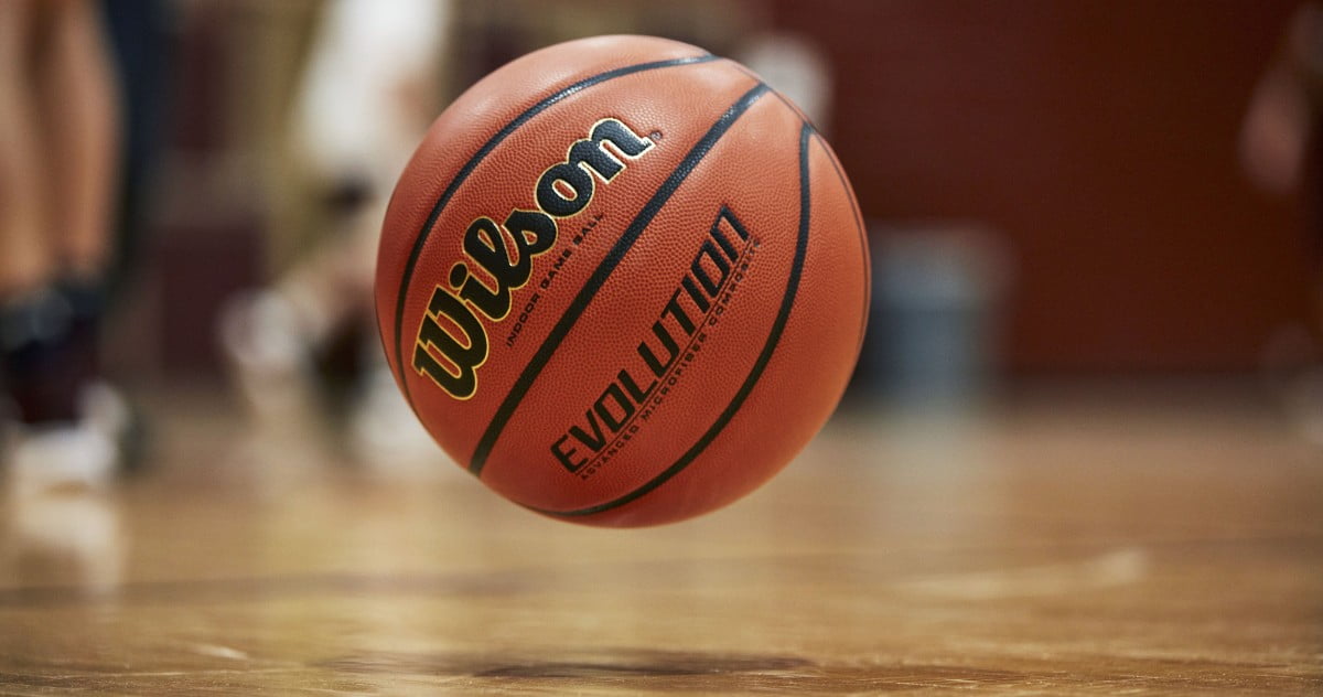 Wilson Evolution Basketball