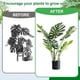 thumbnail image 4 of 6 Piezas de Soporte para Tallo de Planta, Soporte de Metal para Planta Monstera, Soporte para Tallo de Planta, Diseño Único, Juego de Abrazaderas de Bambú, 4 of 5