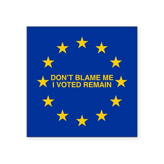 CafePress - Don't Blame Me I Voted Remain Sticker - Square Sticker 3" x 3"