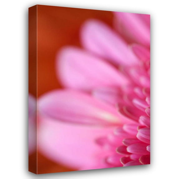 Karyn Millet 13x18 Gallery Wrapped Canvas Wall Art Titled - Pink Afternoon
