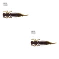 thumbnail image 1 of Toystoory 10 Uds. De cebos de insectos de simulación, cebos de insectos portátiles, señuelos de pesca portátiles, cebos de pesca suaves norte 100MM 2Conjunto, 1 of 6