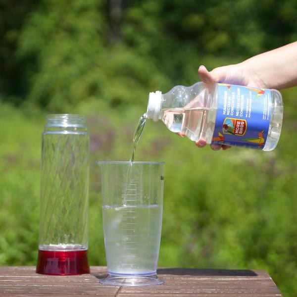 More Birds All-Natural Clear Hummingbird Nectar Concentrate – 32 fl oz