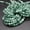 8, variant on K-KED Moss Jade Round Beads 6mm, 8mm, 10mm - 15" Strand-8