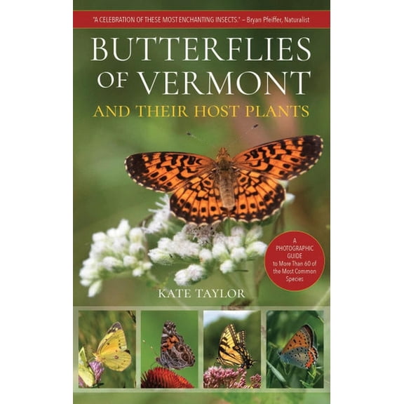 Butterflies of Vermont, (Paperback)