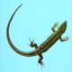 thumbnail image 2 of Alfombra reptile leopardo sustrato de reptiles de sustrato de terrario accesorios de tanque de gecko, 2 of 6