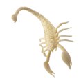 thumbnail image 4 of Modèle Animal en Plastique Simulation Dinosaure Réaliste Squelette Jouet Éducatif (Scorpion), 4 of 10