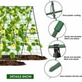 thumbnail image 3 of Un marco de soporte para cultivo de plantas red de escalada de pepino desmontable plegable irrompible ahorro de espacio para patios ANGGREK Otros, 3 of 8