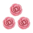 thumbnail image 4 of HILABEE 3pcs Empty Eyeshadow Pans Powder Lip Cosmetics DIY Makeup with Pan - Red - Pink, 4 of 8