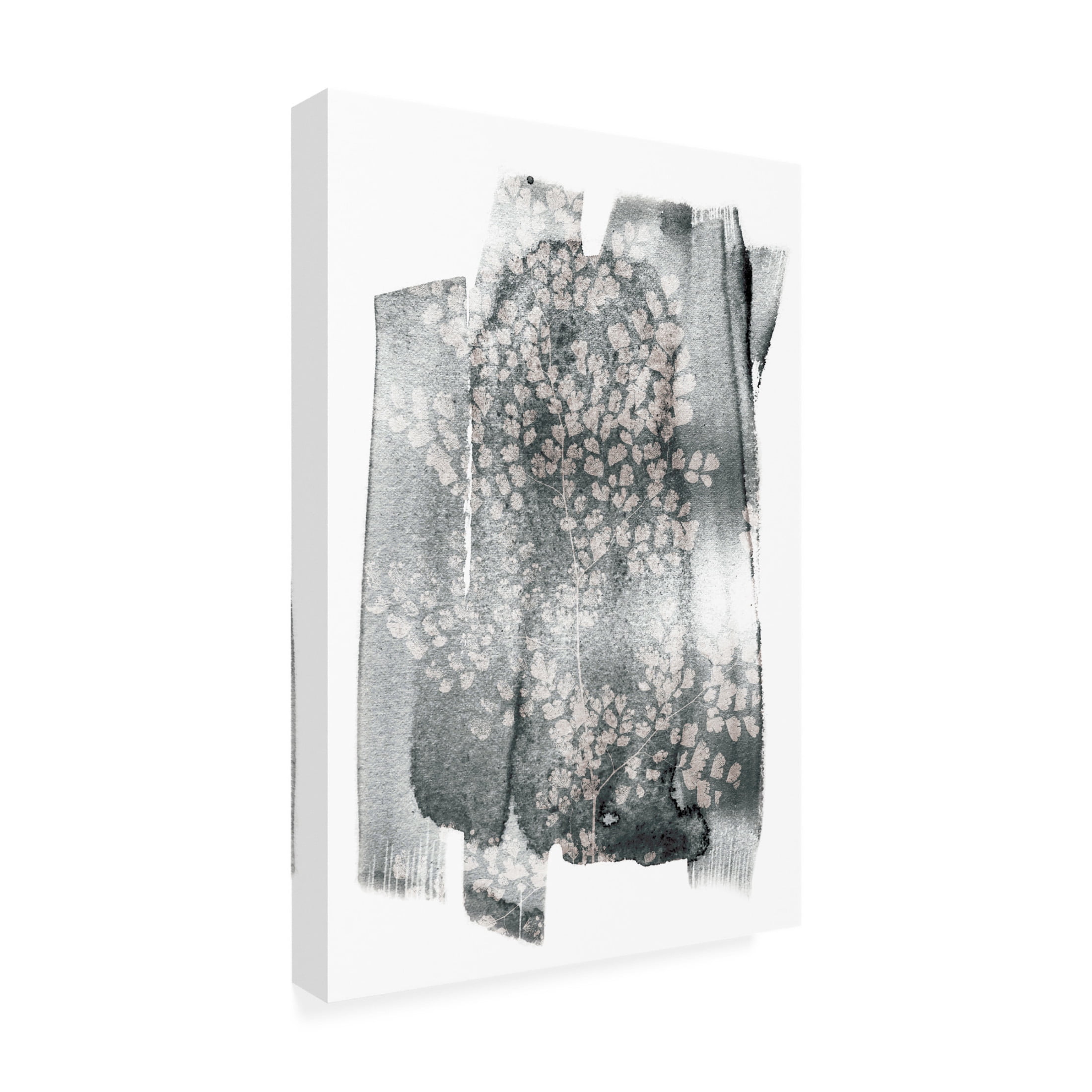 Trademark Fine Art Shot by Clint Imperfect Fern Canvas Wall Art