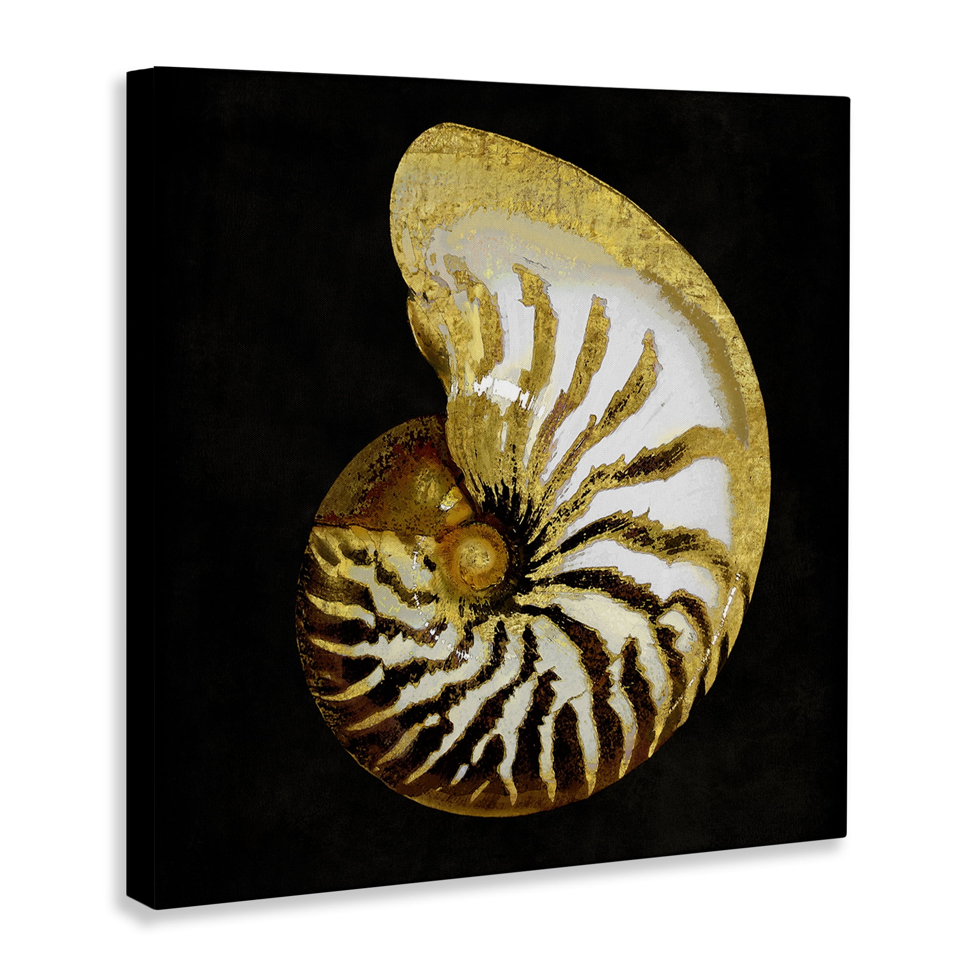 Stupell Industries Spiral Patterned Shell Nautical & Beach Painting Wrapped Canvas Art Print Wall Art, 36 x 36