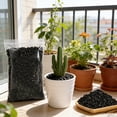 thumbnail image 6 of Bexikou 300G Horticultural Activated Charcoal for Plants, Enhances Drainage & Improves Soil, Perfect for Succulents, Orchids, Cacti, Indoor & Outdoor Gardening, 6 of 7