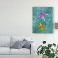 thumbnail image 3 of Trademark Fine Art 'Twin Starfish II' Canvas Art by Alicia Ludwig, 3 of 4