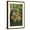 Brown Frame, variant on Art.com USA, California, San Luis Obispo County. Monarch butterflies in wintering cluster. Photographic Print by Jaynes Gallery, Brown Frame Wall Art, 17" x 23"