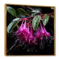 thumbnail image 2 of Designart "Hardy Fuchsia Plants in Purple Garden I" Floral Framed Wall Art - Pink Fuschia Entryway Framed Wall Art, 2 of 6
