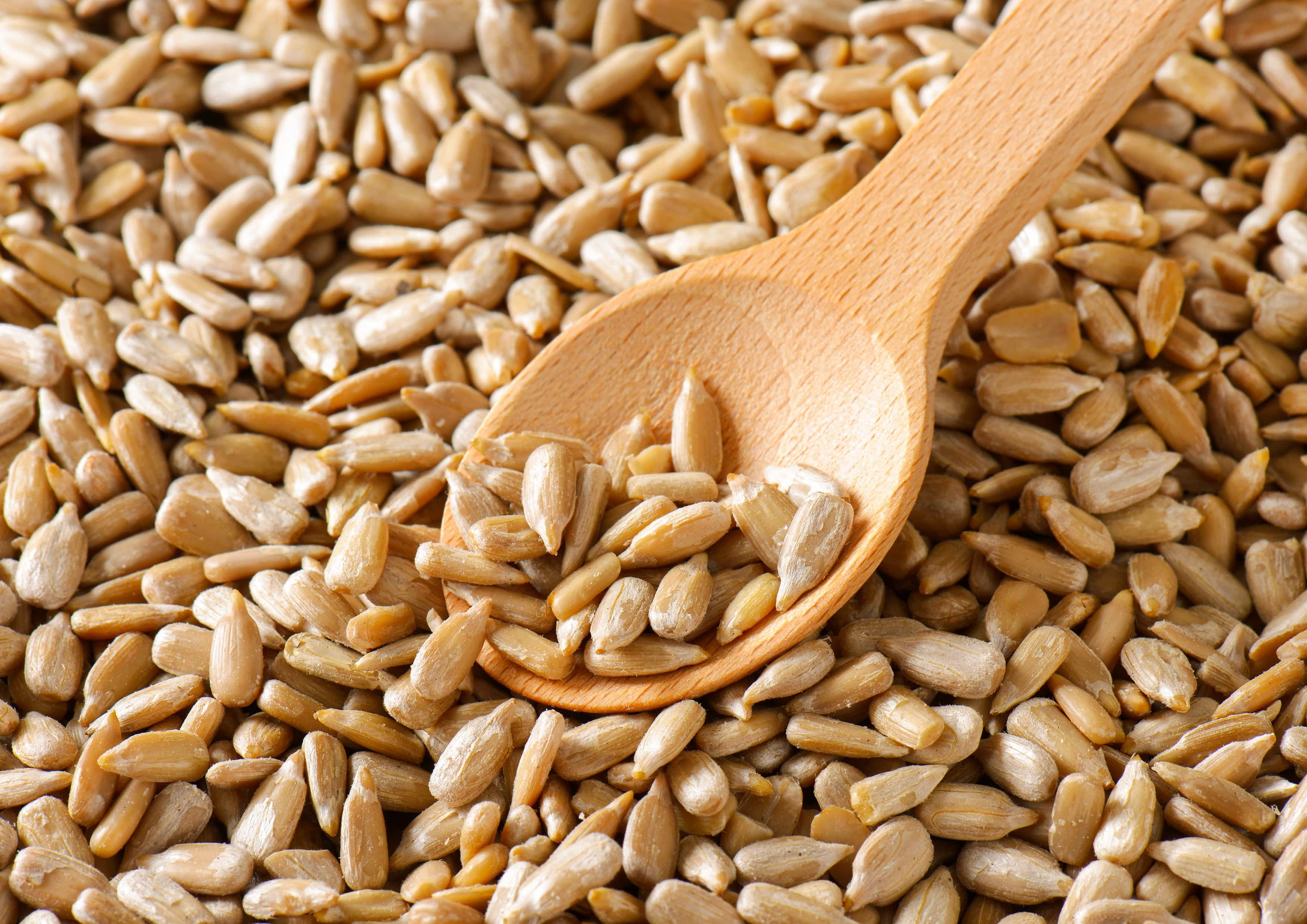 Roasted Sunflower Seeds, 4 Pounds — Kosher, Vegan — by Food to Live