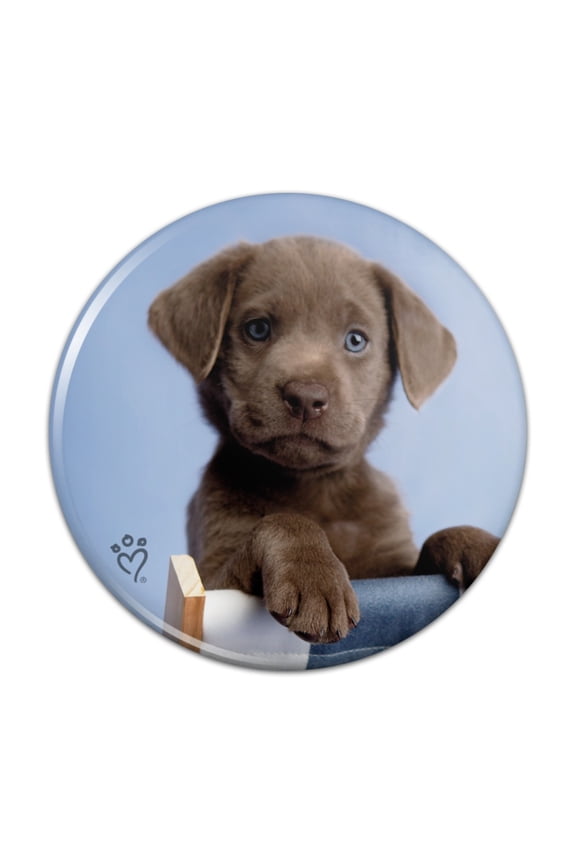 Chocolate Lab Labrador Deckchair Lounge Chair Pinback Button Pin
