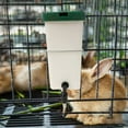 thumbnail image 4 of Automatic Drinker Dispenser Water Feeder Cage Waterer Water Fountain for 1L, 4 of 8
