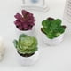 thumbnail image 3 of Nvzi 3 plantas artificiales en maceta, pequeñas plantas falsas en maceta, miniplantas artificiales de escritorio para interior, granja, oficina, mesa, estante, decoración de baño (A61), 3 of 5