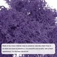 thumbnail image 4 of Uxcell 3.5 OZ Moss Preserved Moss Artificial Moss for Craft Floral Project Table Decor Purple, 4 of 6