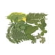thumbnail image 5 of Calcomanía de flores secas Kearding tipo 10 2Conjunto, 5 of 6
