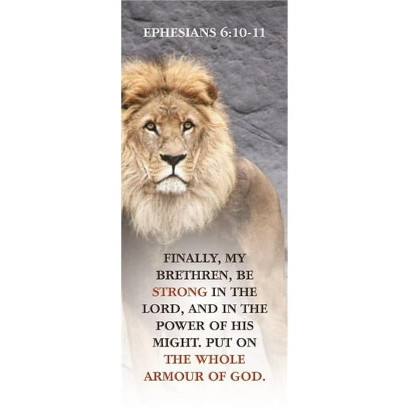 B&H Publishing 244205 Armor of God Bible Bookmark - Pack of 25
