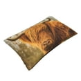 thumbnail image 3 of Balery Yak Bedding Queen Pillow Cases - Envelope Closure - Soft Brushed Microfiber Fabric - Shrinkage and Fade Resistant Pillow Cases-14"x20", 3 of 9