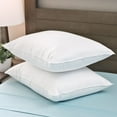 thumbnail image 4 of Cozy Clouds MicronOne King Pillow Protector - Set of 2, 4 of 5