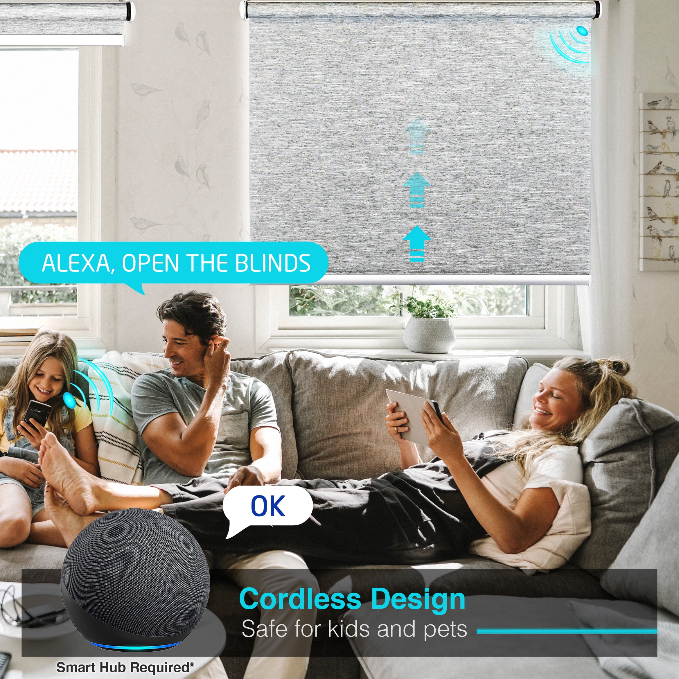 Biltek Smart Blinds for Windows Light Filtering Shades Motorized Roller Blinds & Shades Cordless Window Blinds Electric Blinds with Remote Automatic Window Shades For Home Smart Home Office 57" x 72"