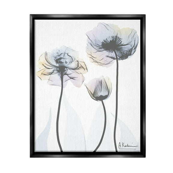 Stupell Industries Poppy Flower Trio Botanical & Floral Photography Black Floater Framed Canvas Art Print Wall Art, 17 x 21