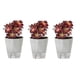 thumbnail image 1 of Macetas sin riego Macetas autoabsorbentes Macetas suculentas de orquídeas de balcón de plástico, 1 of 13