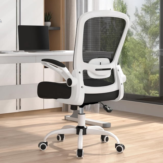 Office Chair Ergonomic Desk Chair with Adjustable Lumbar Support & Seat Height Back Mesh Computer Chair with Flip-up Armrests Task Chairs (Modern Amethyst)