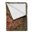 thumbnail image 2 of Fantasy Soft Flannel Fleece Throw Blanket, Decadence Grunge Ruin Brick Wall and a Giant Lizard on the Sofa Surreal Art, Cozy Plush for Indoor and Outdoor Use, 50" x 70", Vermilion Umber, by Ambesonne, 2 of 5