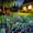 Multicolor, variant on NOUGFVZP Garden Decor Outdoor Lights 120LED 2Pack, Solar Garden Lights Outside Fairy Firework Decorative,Solar Powered for Yard Pathway Flowerbed Planter Balcony Patio 4th of July Decor (Warm White)