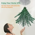 thumbnail image 2 of NOGIS 20 Pack Dried Eucalyptus Bundle,17 inch 100% Natural Fresh Eucalyptus Branches Greenery Eucalyptus Stems for Aromatherapy to Your Shower,Also for Flower Arrangements Wedding Home Decor, 2 of 7