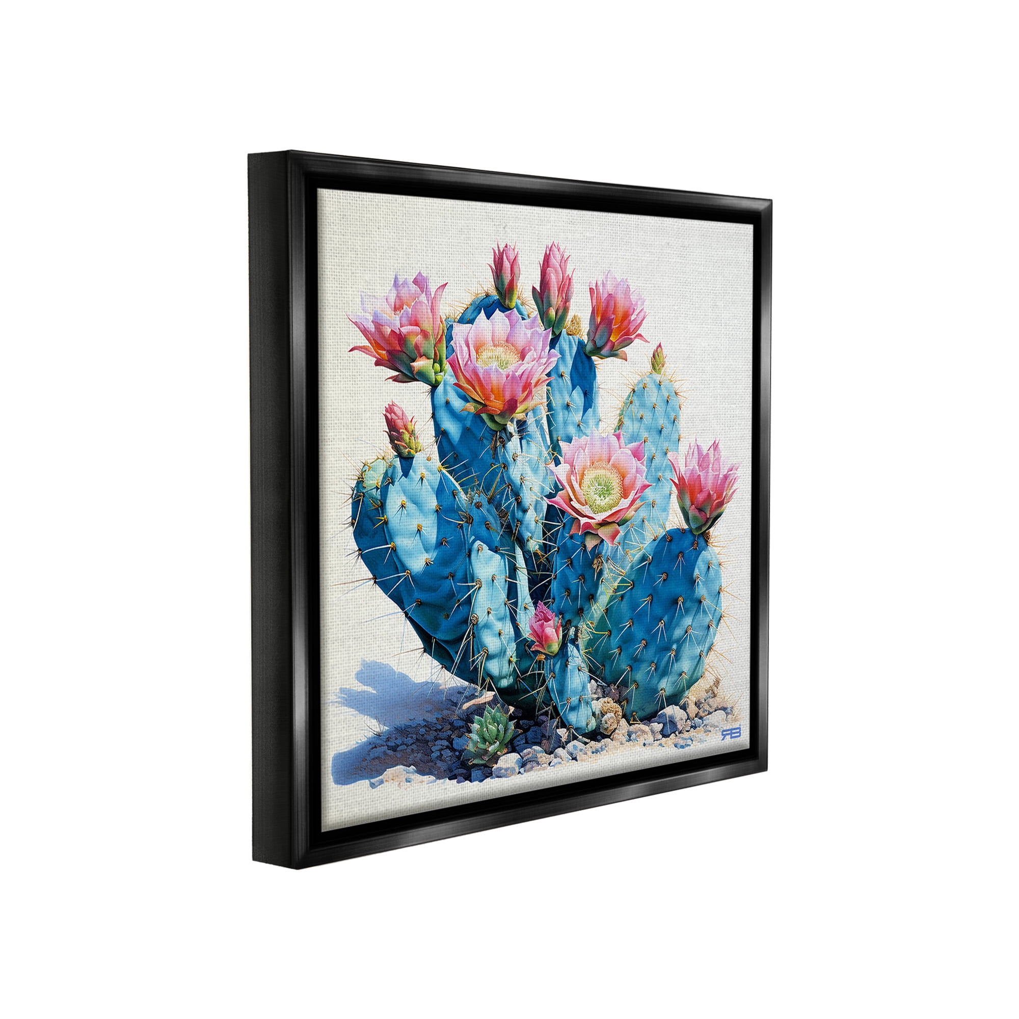 Stupell Industries Prickly Cactus Blossoms Botanical & Floral Painting Black Floater Framed Canvas Art Print Wall Art, 25 x 25